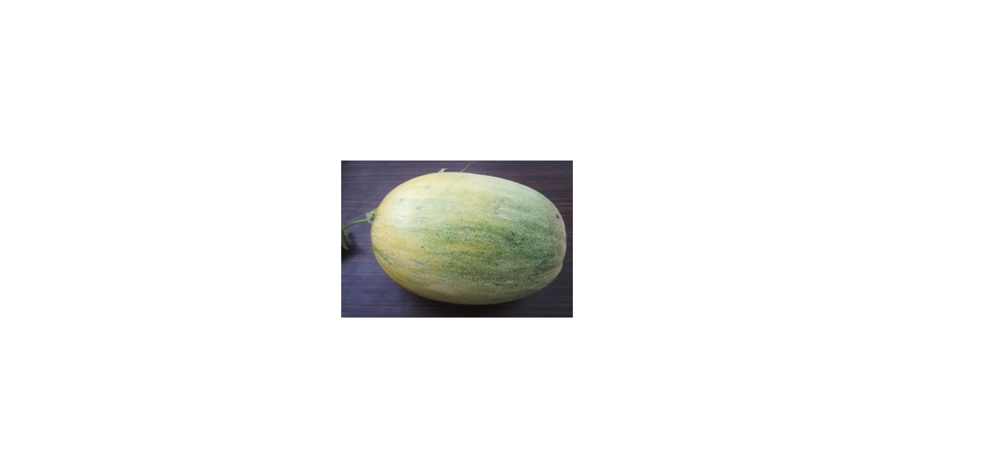Melon Seed